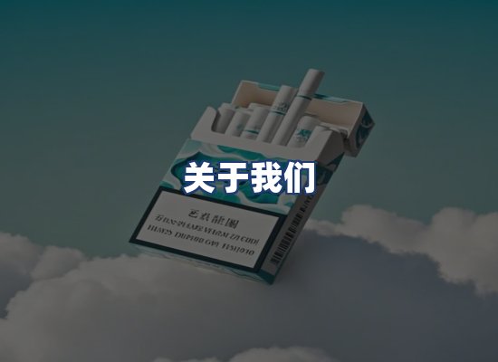 关于我们